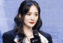 杨幂走红靠的不仅是颜值,还有她那天花板的情商,如今成人生赢家-沐风文化