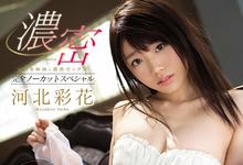 还是没有作品…河北彩花走定了！-沐风文化