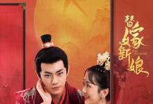 替嫁新娘全集 2023国剧 HD1080P 迅雷下载-沐风文化
