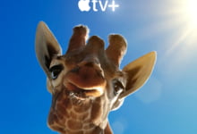 2023纪录片《巨兽》全集 HD1080P 迅雷下载-沐风文化