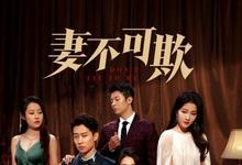 妻不可欺全集 2023国剧 HD1080P 迅雷下载-沐风文化