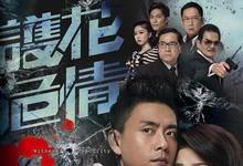 2012港剧《护花危情》全集 HD1080P 迅雷下载-沐风文化